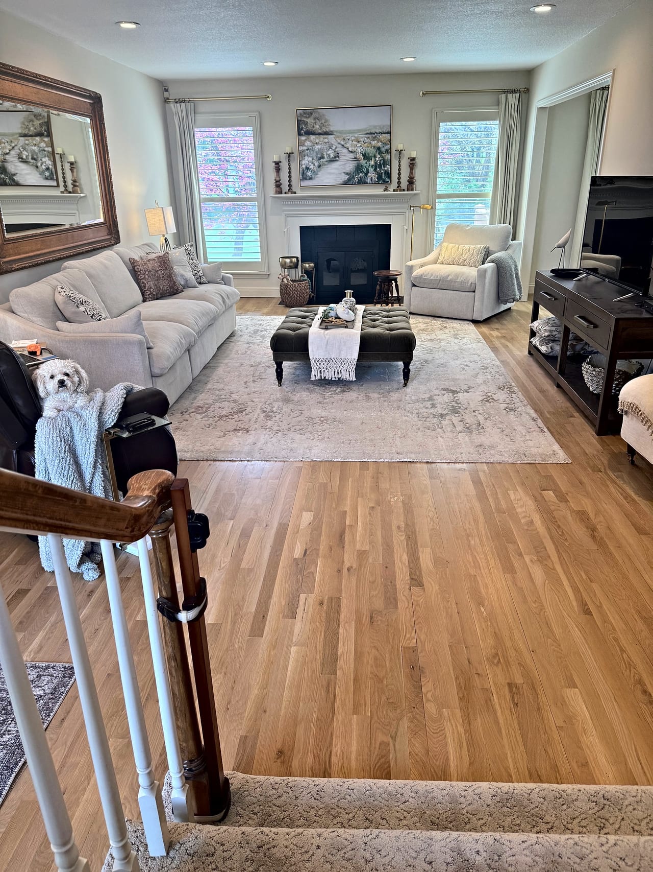 Light oak hardwood floor in a Kansas City metro living room, with a small white dog on a leather chair.